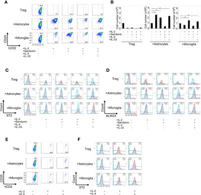 In Vitro Generation of Brain Regulatory T Cells by Co-culturing With Astrocytes